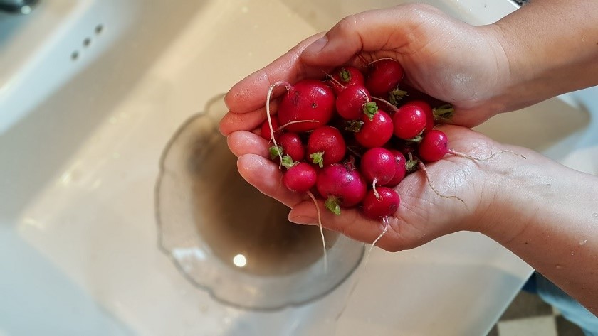 Bunter Frühlingssalat!