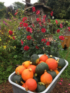 EssBO! Gärten und Gärtnern